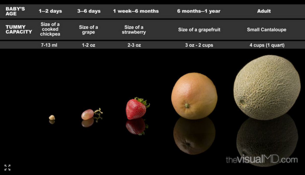 Baby Stomach Capacity Chart