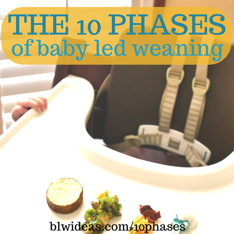 baby led weaning in chinese